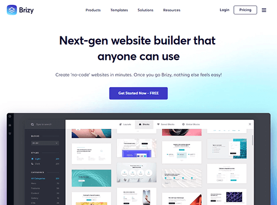 brizy homepage