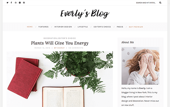 Everly Lite Theme