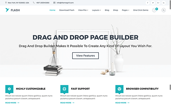 Flash Theme