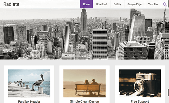 Radiate Theme